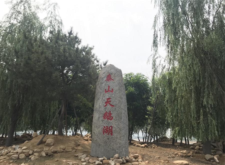 天鵝湖風景區(qū)（泰山）速覽！(圖12)