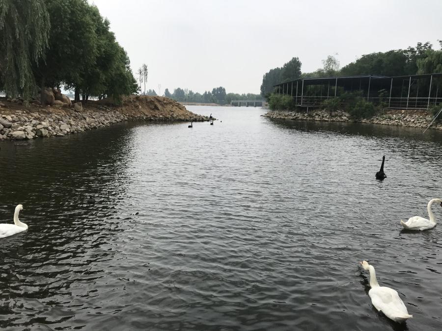 天鵝湖風景區(qū)（泰山）速覽！(圖14)