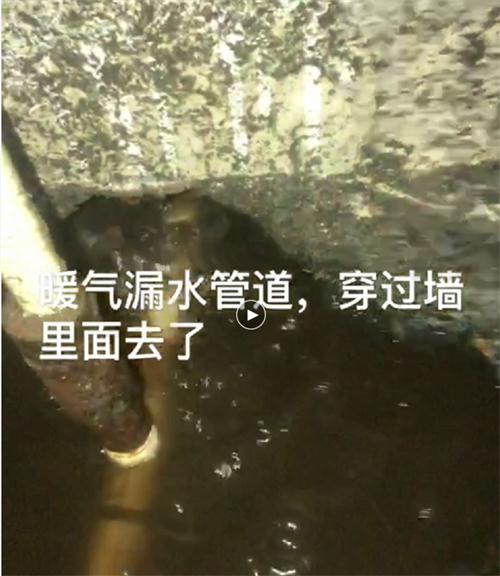 精準(zhǔn)檢測漏水、滲水：客廳、廚房、衛(wèi)生間。。。(圖4)
