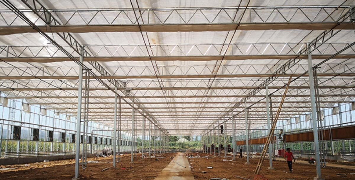 信橋鋼構(gòu)：打卡蒙陰農(nóng)業(yè)溫室大棚、青州黑牛養(yǎng)殖基地！(圖3)