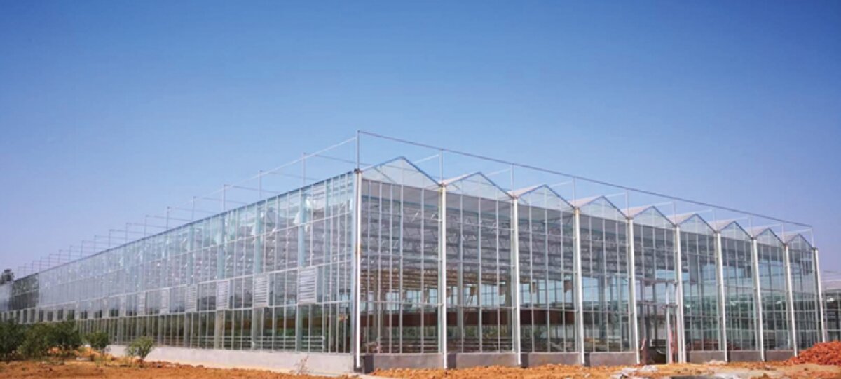 信橋鋼構(gòu)：打卡蒙陰農(nóng)業(yè)溫室大棚、青州黑牛養(yǎng)殖基地！(圖2)